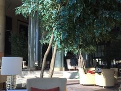 -新都绿城喜来登酒店大堂吧