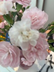 -Dr.林醫生产后修复·配方产康店(南京大厂店)