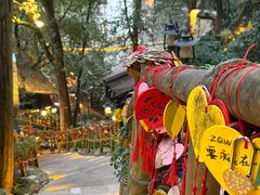 -巴倒烫陆派火锅山庄(南山总店)
