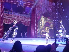 -珠海横琴长隆《卡卡虎奇遇记》