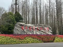 -东平国家森林公园