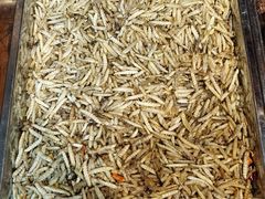 -昆虫窝子·特色云南菜(拓东路总店)