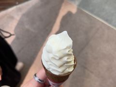 -富豪雪糕车流动点(尖沙咀)