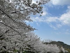 -苏州上方山国家森林公园