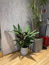 -P.STYLE 派斯造型