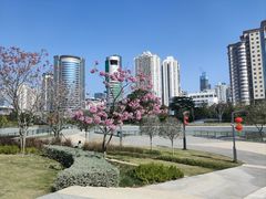 -深圳来福士广场