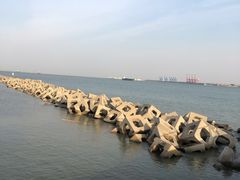 -东疆建设开发纪念公园