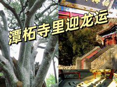 -潭柘寺景区