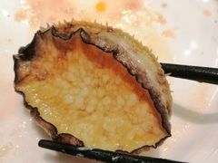 活鲍鱼-Mr·Fish鱼鲜生海鲜放题(银泰in99店)