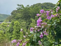 -广州市帽峰山景区