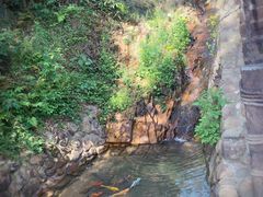 -溪口-滕头旅游景区