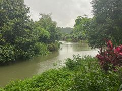 -黄埔古港