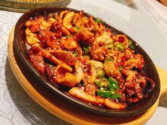 青岛特色烤鱿鱼-船歌·鱼水饺青岛菜(闽江二路店)