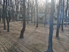 -东海森林温泉度假酒店