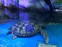 -多彩贵州城极地海洋世界