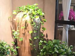 -麓湘小镇(金茂览秀城店)