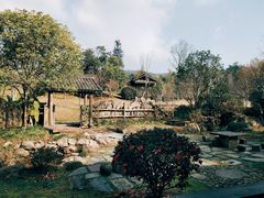 -千岛湖龙川湾