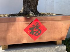 -龙华寺