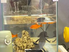 -咪咕咖啡(北京西单店)