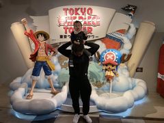 -东京塔海贼王主题公园