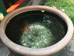 -晋阳饭庄(虎坊桥店)