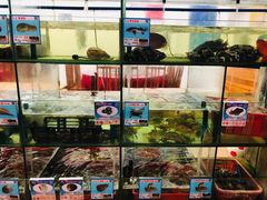 -春园海鲜广场D区6号(钟姐海鲜加工店)