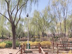 -燕郊植物园