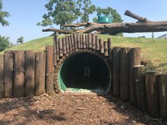 -田园东方蜜桃村的田野营地