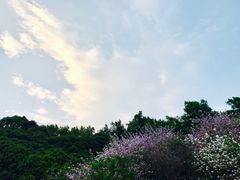-四季美蚝皇