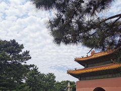 -北陵公园