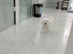 -纳吉亚猫专科动物诊疗中心(蒋宅口分院)