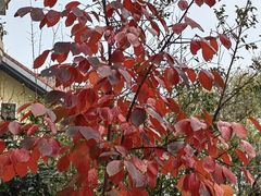 -唐城墙遗址公园