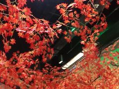 -宝丽金大酒店·洗浴中心