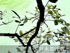 -都江堰景区