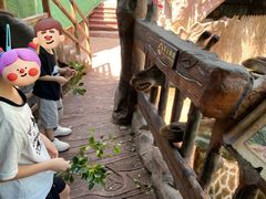-长鹿旅游休博园