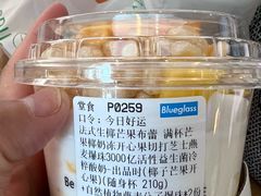 -Blueglass酸奶(财富购物中心店)