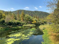 -兰亭风景区