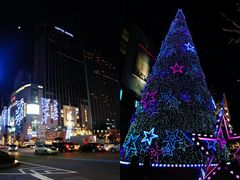 -乐天免税店(明洞店)