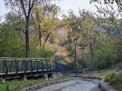 -白水寺森林公园