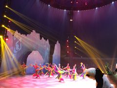 -水秀国际大剧院