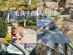 -南昌动物园
