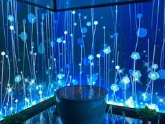 -雲泊自然养生·足道SPA(鎏嘉码头店)