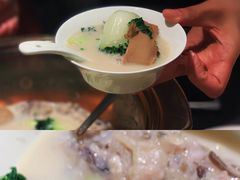 -粤凤佬
