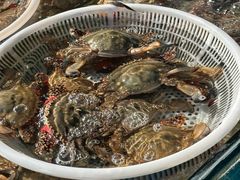 -何庄子阿米玛玛农产品批发市场