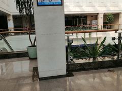 -上海市东方医院(总院)