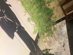 -新紫霞养生·影院足道·SPA(金山区店)
