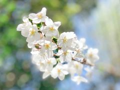 -西武百货(涩谷店)