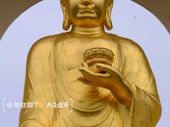 -庐山风景名胜区-东林大佛