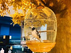 大堂-鹏天阁酒楼·海鲜(红旗店)