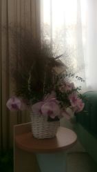 -新蝶变皮肤管理中心